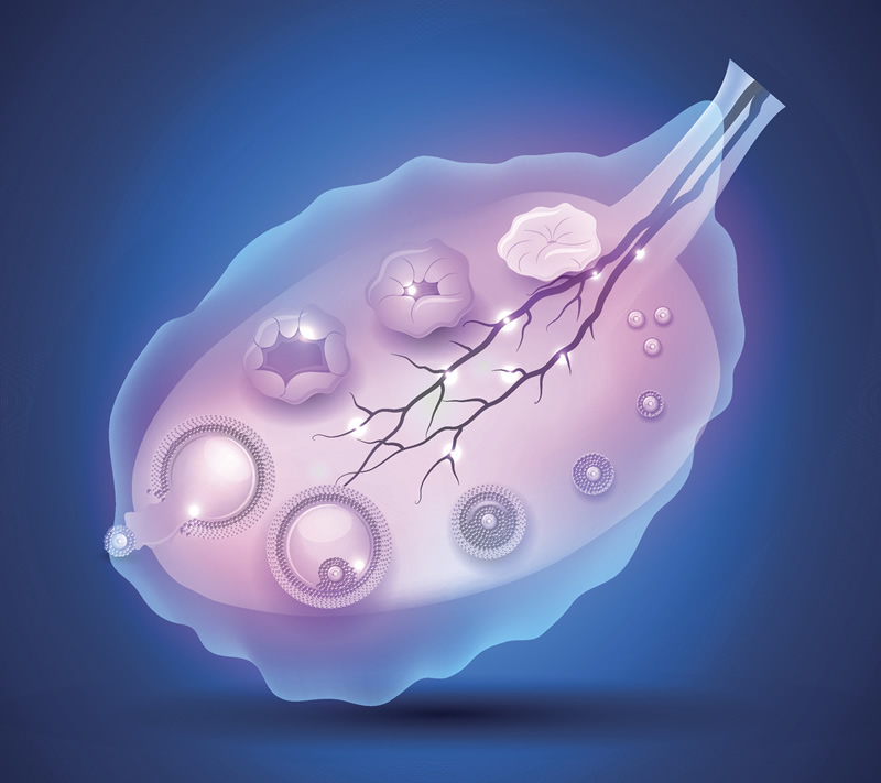 做三代试管去上海私人医院做怎么样？